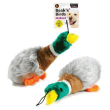 Mallard Squeeky Toy