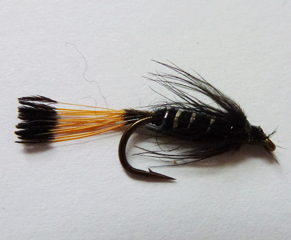 Black Pennel - Wet Fly