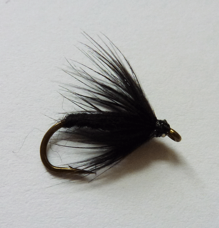 Black Spider - Wet Fly