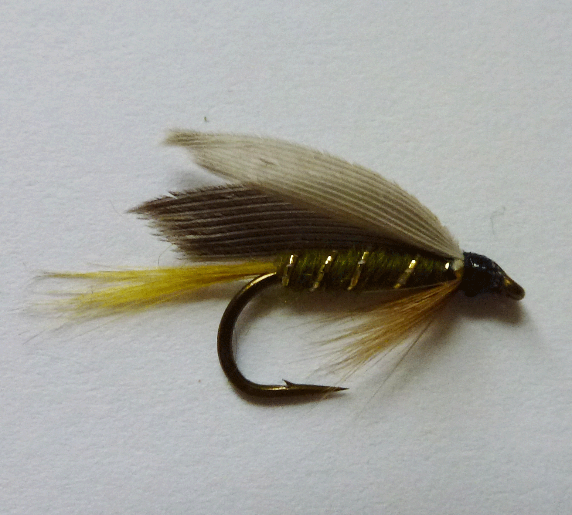 Greenwells Yellow Tail - Wet Fly