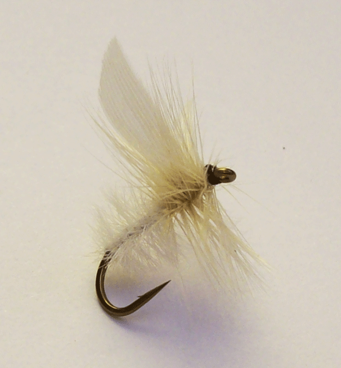 White Moth Dry Fly